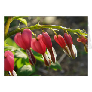 Corazones sangrantes
