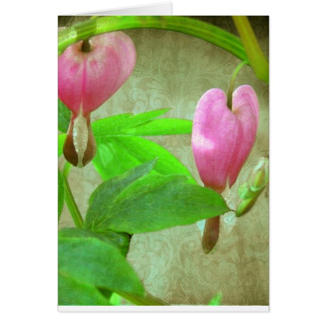 Corazones Sangrantes Con Textura (Frente)