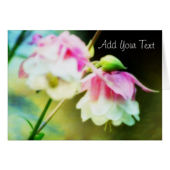 Corazones sangrantes de Shirley Taylor (Anverso (Horizontal))