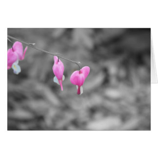 Corazones sangrantes el condado de Door