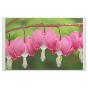 Corazones sangrantes en la tela de la lluvia