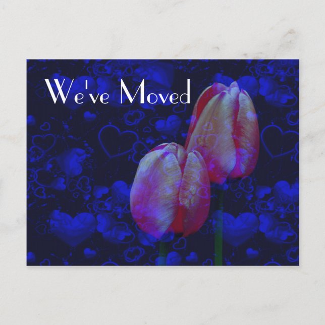 Corazones Y Tulipanes Nueva Postales Florales De D (Anverso)