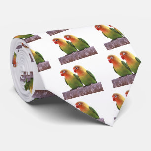Corbata の "Fischer's Lovebird" 製 良 優
