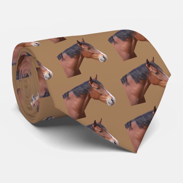 CORBATA ウマ (Enrollado)