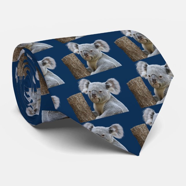 CORBATA コアラ (Enrollado)