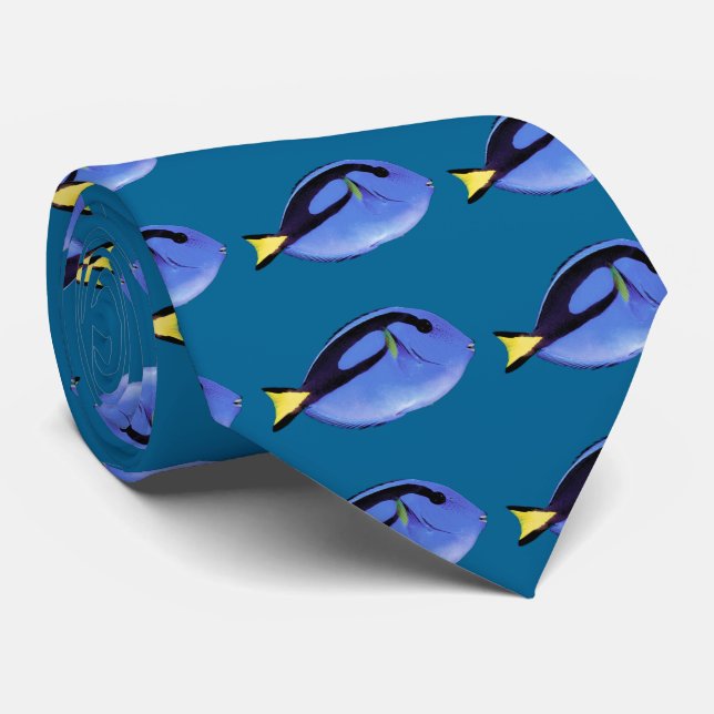 CORBATA ナンヨウハギ (Enrollado)