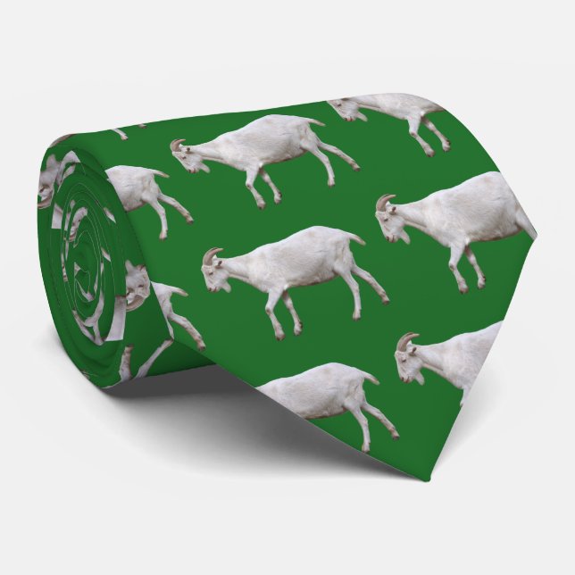 CORBATA ヤ ギ (Enrollado)