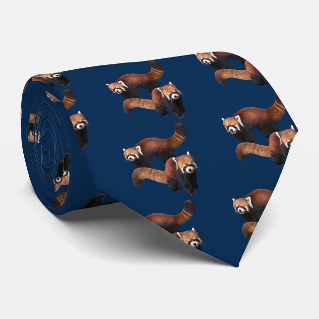 CORBATA レッサーパンダ (Enrollado)