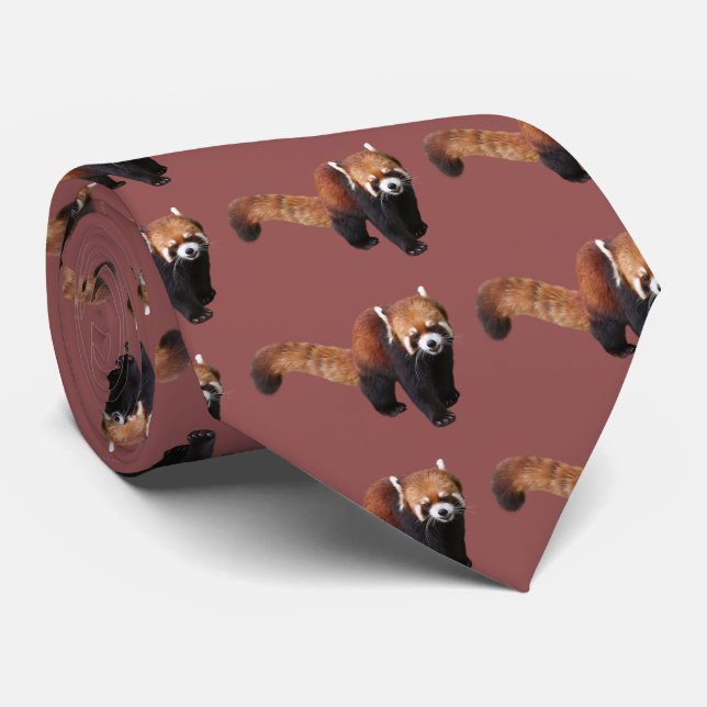 CORBATA レ サ パ・ダ (Enrollado)