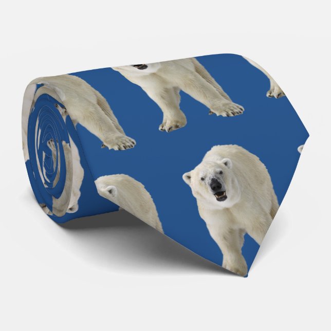 CORBATA 北 極 熊 (Enrollado)