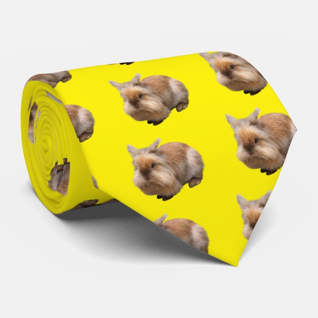 CORBATA 犬 (Enrollado)
