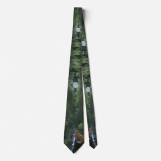 Corbata 狐 月 動物 自然 fox moon animal nature