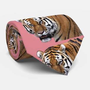 CORBATA 虎