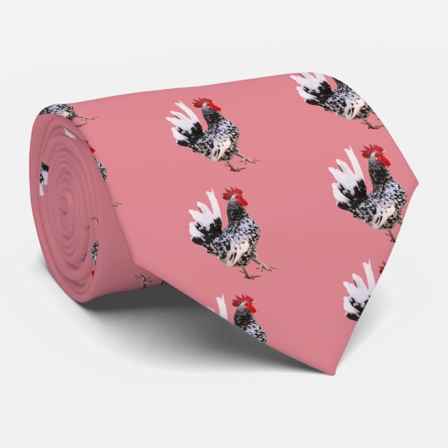 CORBATA 鶏 (Enrollado)