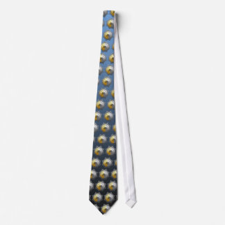 Corbata 17° grado: Caballero del Este y del Oeste