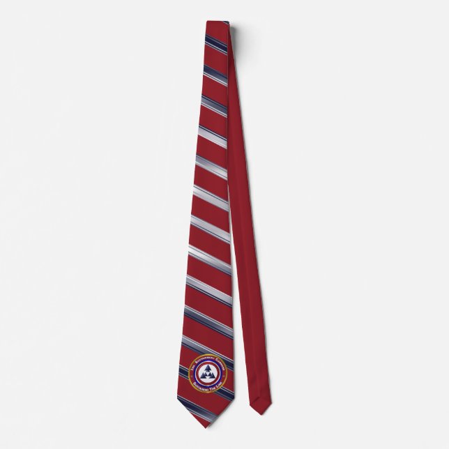 Corbata 3er Comando de Sostenimiento (Anverso)