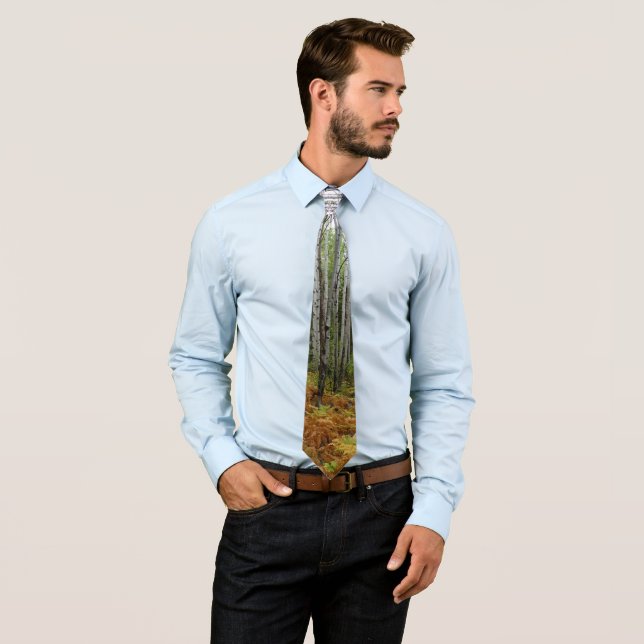 Corbata Abedules y Helechos de Otoño en Rocky Mountain (In situ)