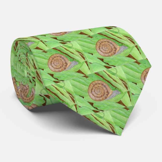 Corbata Acuarela de caracol (Enrollado)