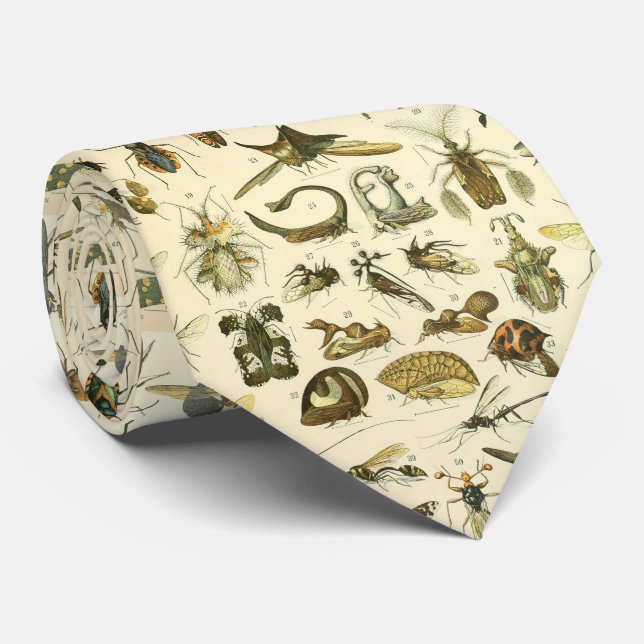 Corbata Adolphe Millot original - insectos  (Enrollado)