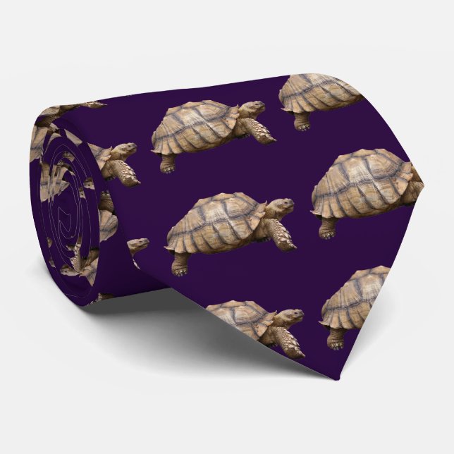 Corbata African spurred tortoise (Enrollado)