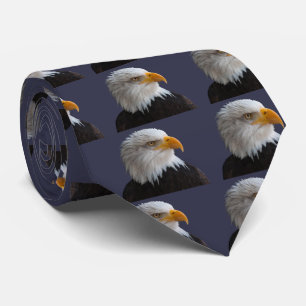 Corbata Águila calva
