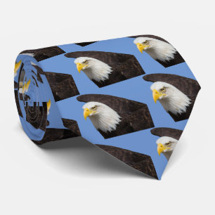 Corbata Águila calva