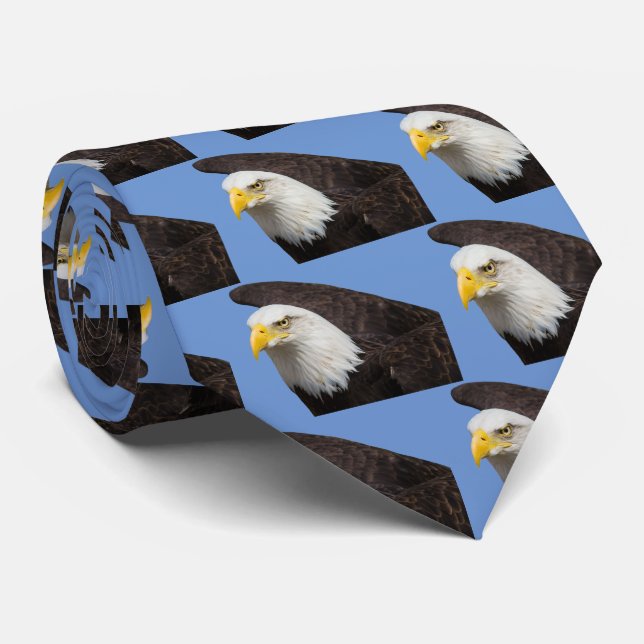 Corbata Águila calva (Enrollado)