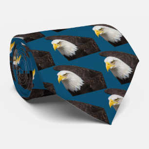Corbata Águila calva