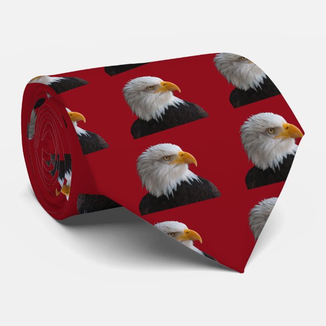 Corbata Águila calva (Enrollado)