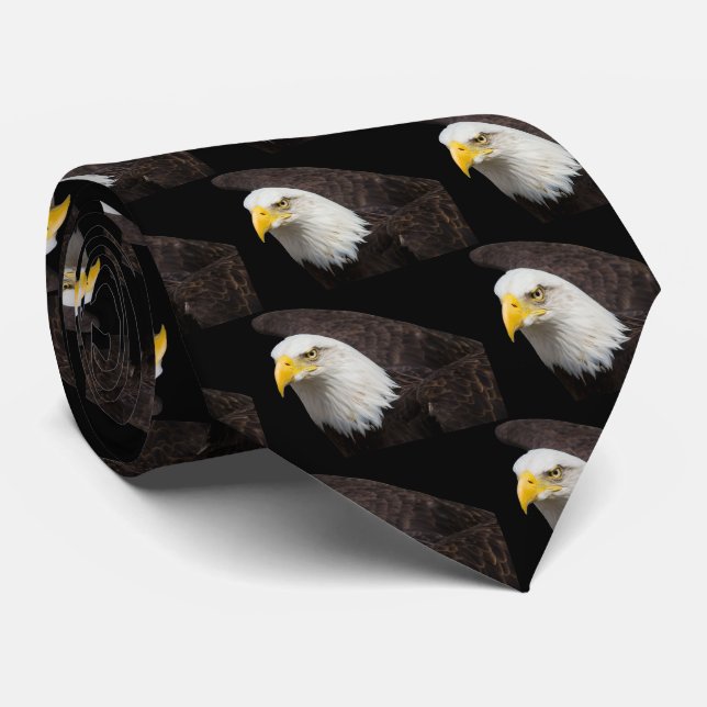 Corbata Águila calva (Enrollado)