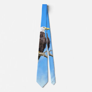 Corbata Águila calva posada en una rama