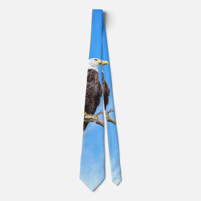 Corbata Águila calva posada en una rama (Anverso)