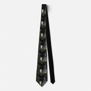 Corbata akita pinto máscara negra