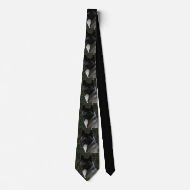 Corbata akita pinto máscara negra (Anverso)