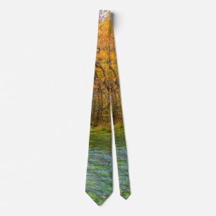 Corbata Alley Spring Otumn Water Neck Tie