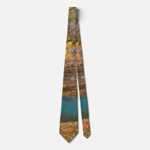 Corbata Alley Spring View Neck Tie