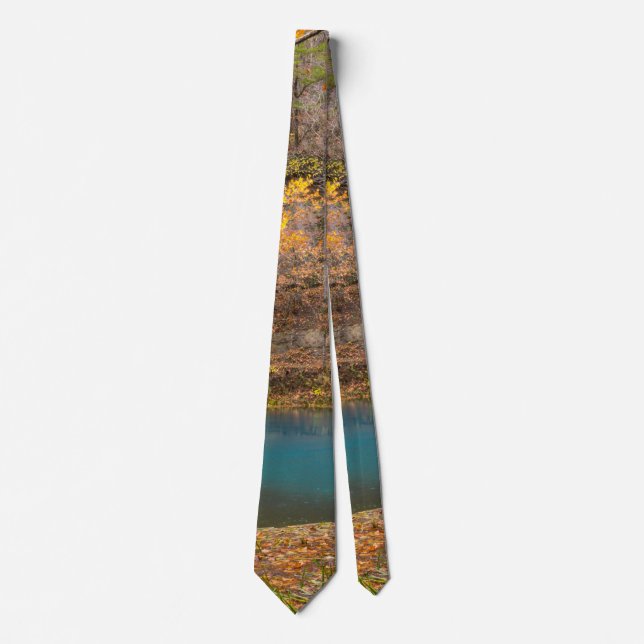 Corbata Alley Spring View Neck Tie (Anverso)