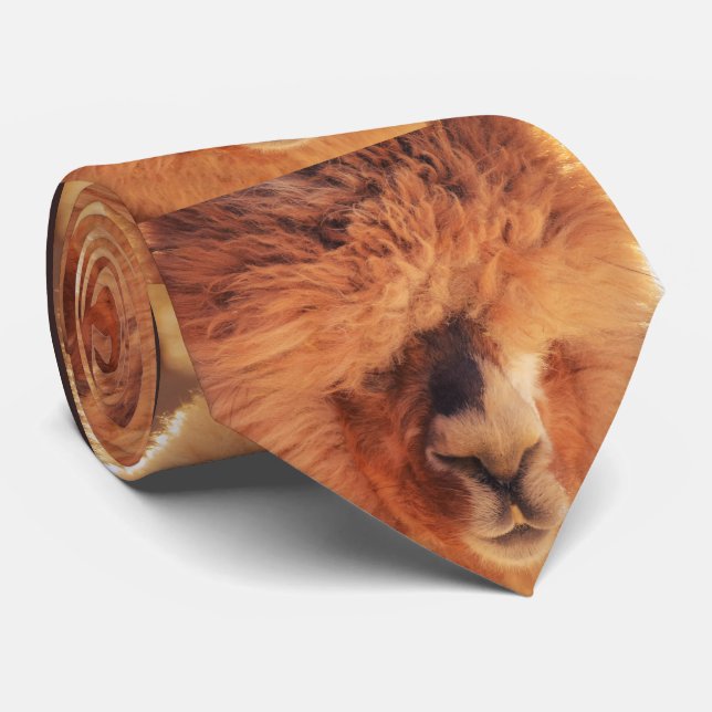 Corbata Alpaca hermosa de la llama (Enrollado)