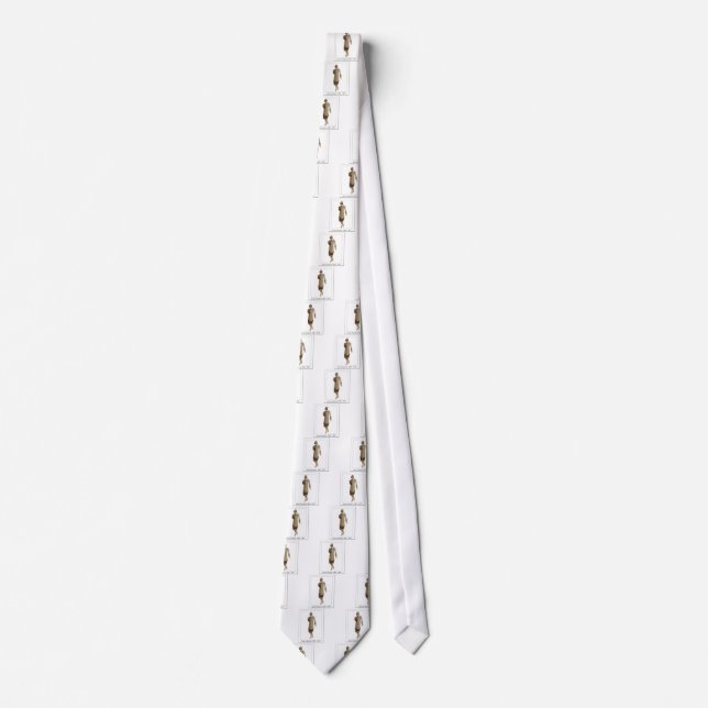 CORBATA AM117 (Anverso)