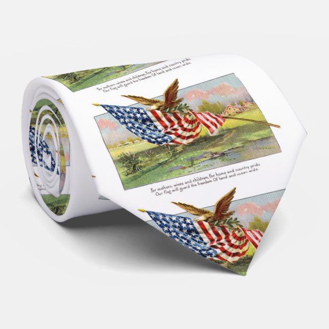 Corbata American Eagle y bandera (Enrollado)