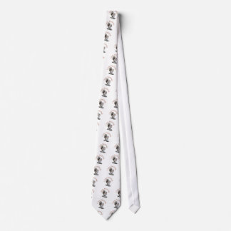 CORBATA AMO ARDILLAS