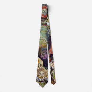 Corbata Anémonas marinas vintage de Ernst Haeckel