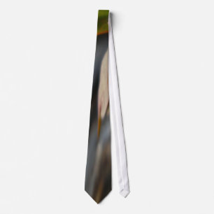 Corbata Anemone Abstract Tie