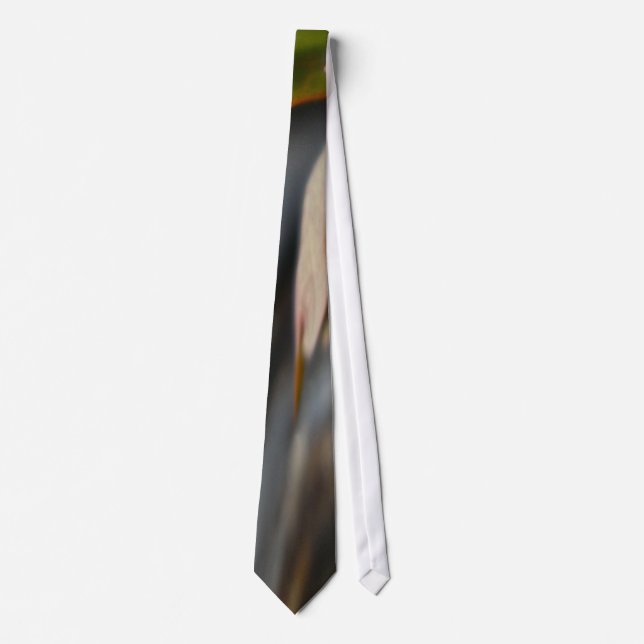 Corbata Anemone Abstract Tie (Anverso)