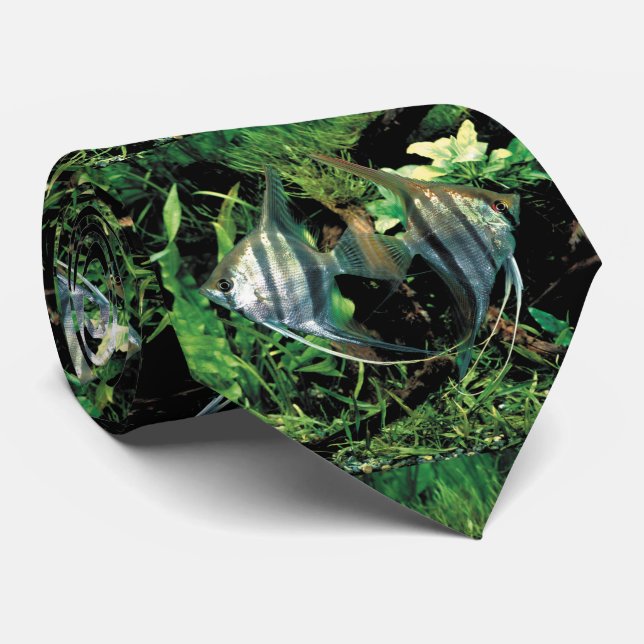 Corbata angelicina 2 (Enrollado)