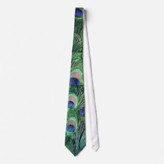 Corbata Animal - pavo real