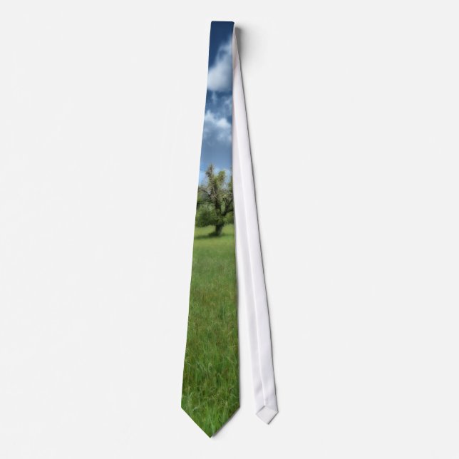 Corbata Apalache Green Tie (Anverso)
