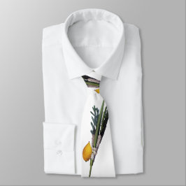 Corbata Arba Minim - Lulav, Esrog, Hadas, y Aravah