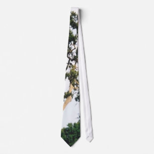 Corbata Árbol