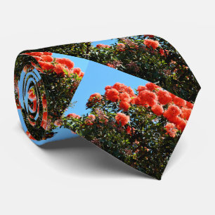 Corbata Árbol de flores Eucalyptus, Naranja en flor,